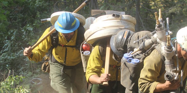 Volunteer Firefighter Washington